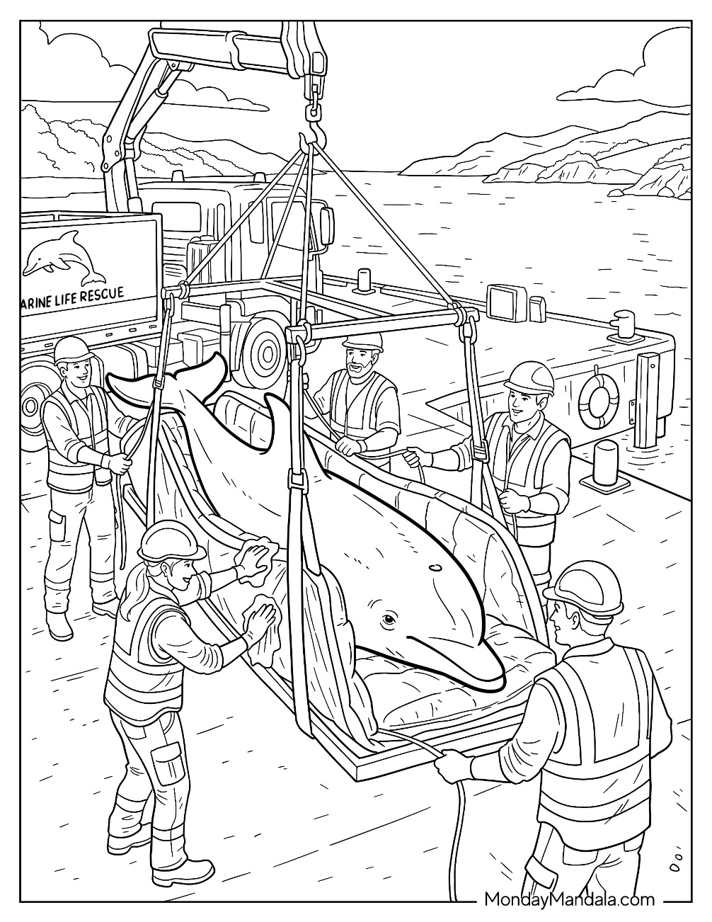 Dolphin Rescue Operation with Marine Rescue Team Coloring Page