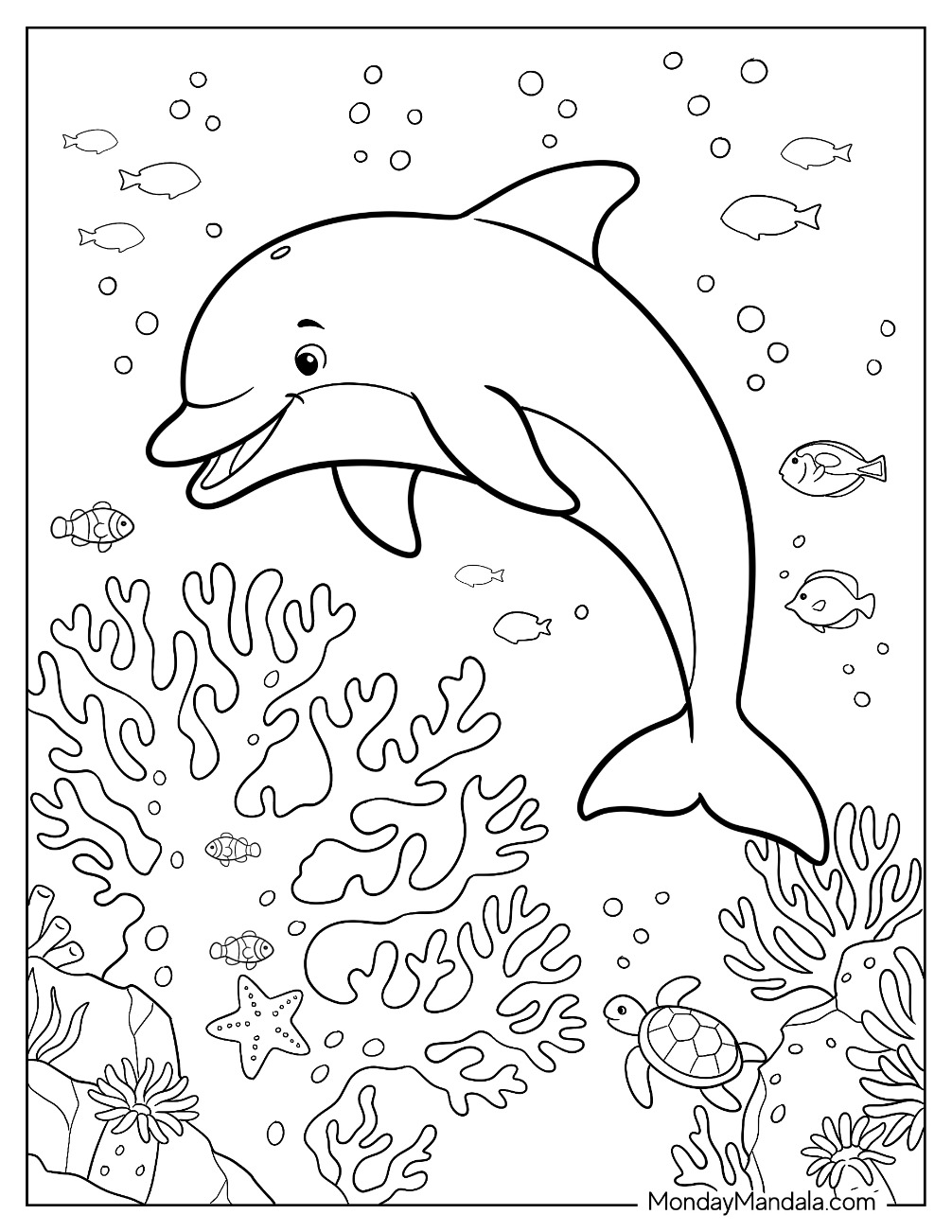Dolphin Swimming Over a Coral Reef with Sea Turtle