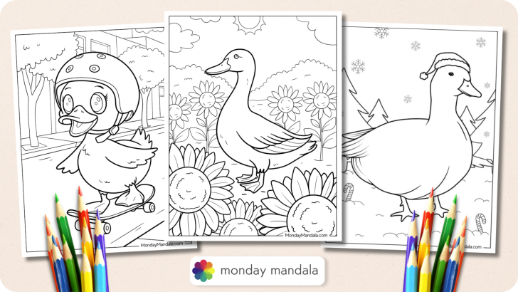 Duck Coloring Pages Featured Image v2