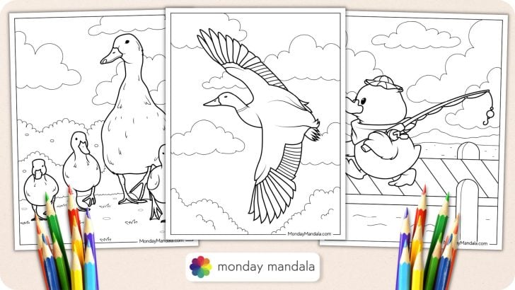Duck Coloring Pages Featured Image_
