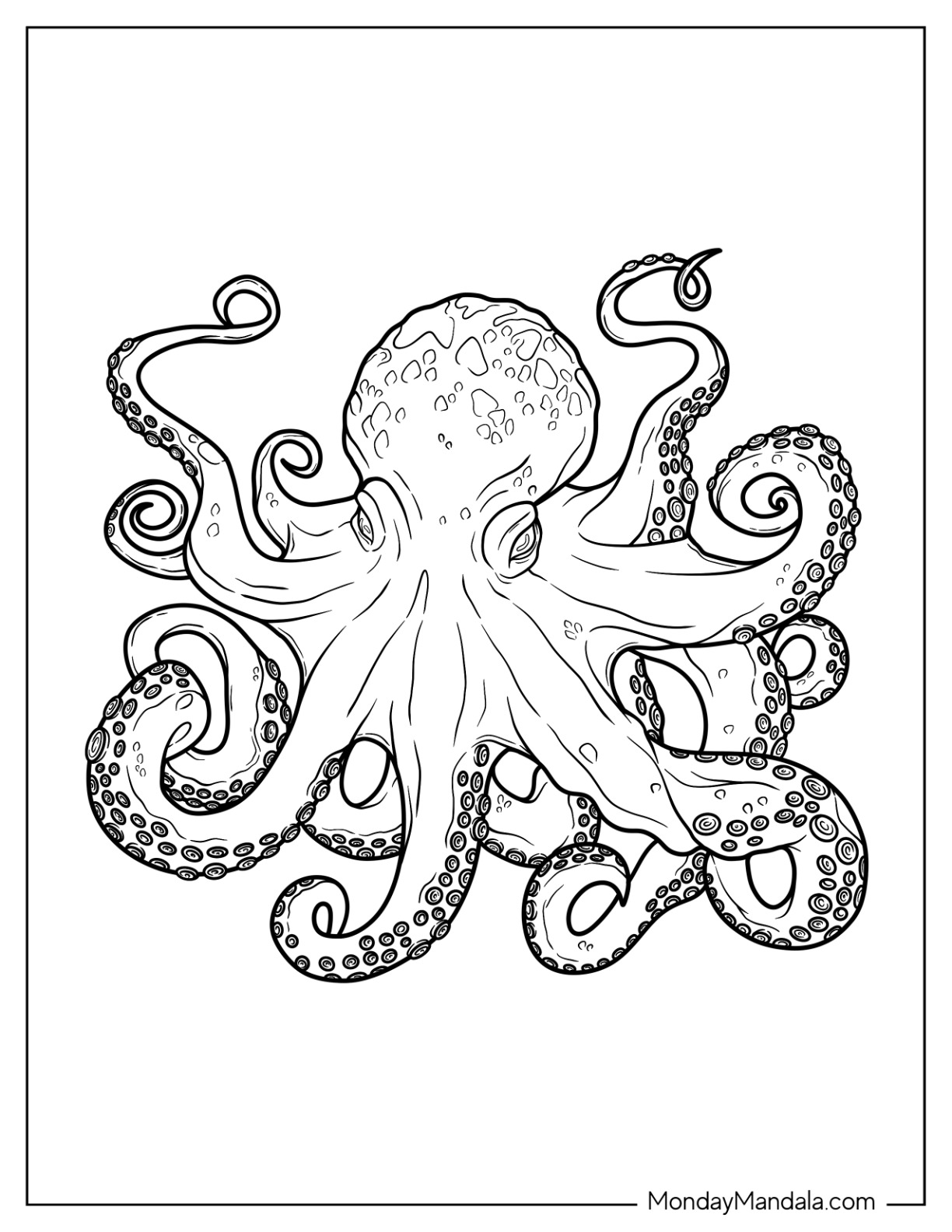 Octopus Printable Template Free Printable Papercraft Templates