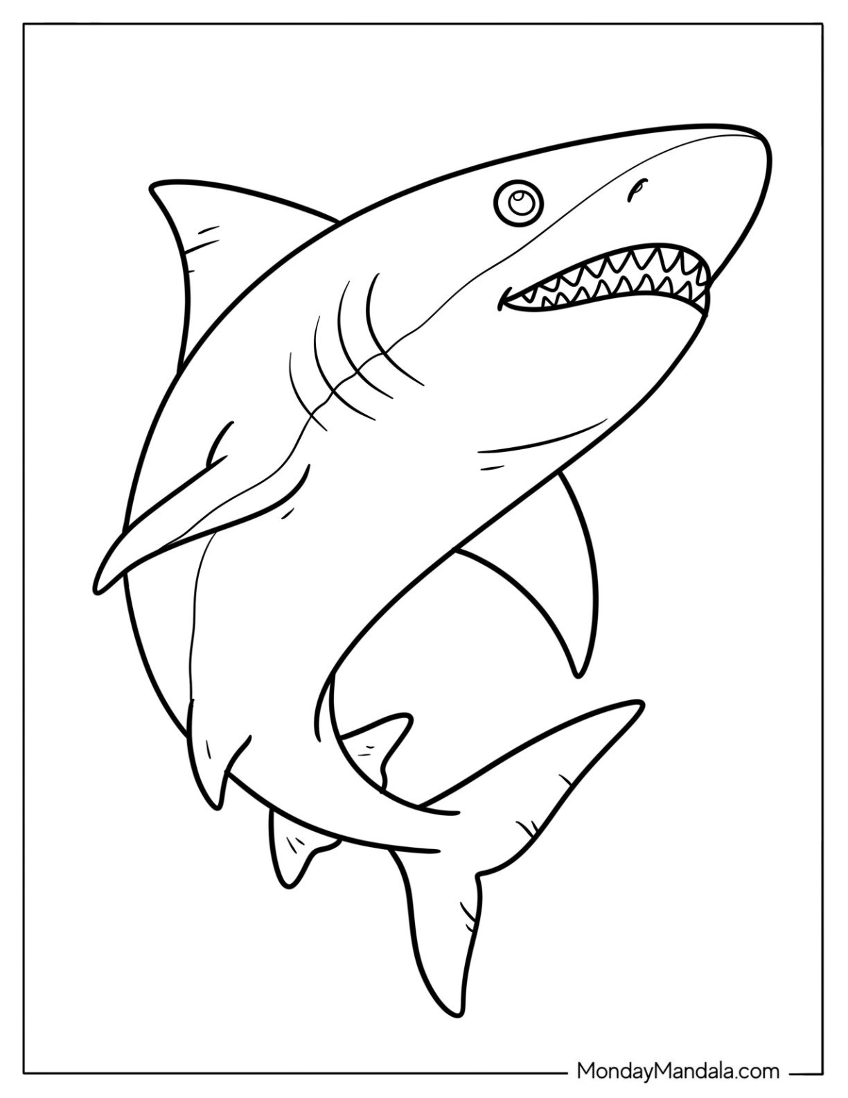 Fish Coloring Page of Easy Adult Shark Outline for Kids