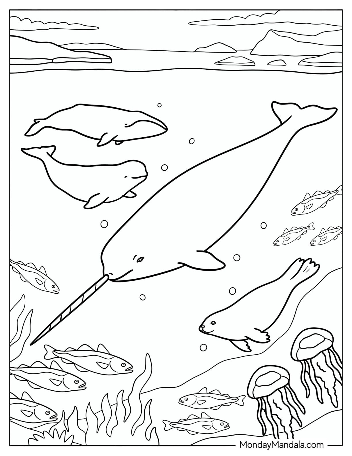 Easy Narwhal Swimming with Seal and Dolphin
