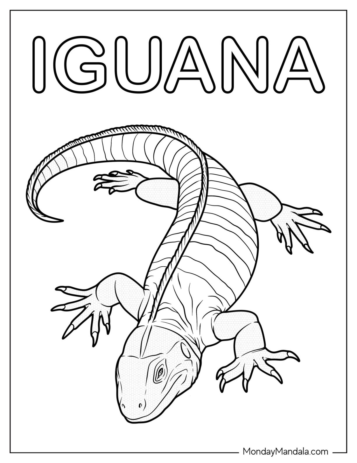 Easy Realistic Iguana Coloring Page