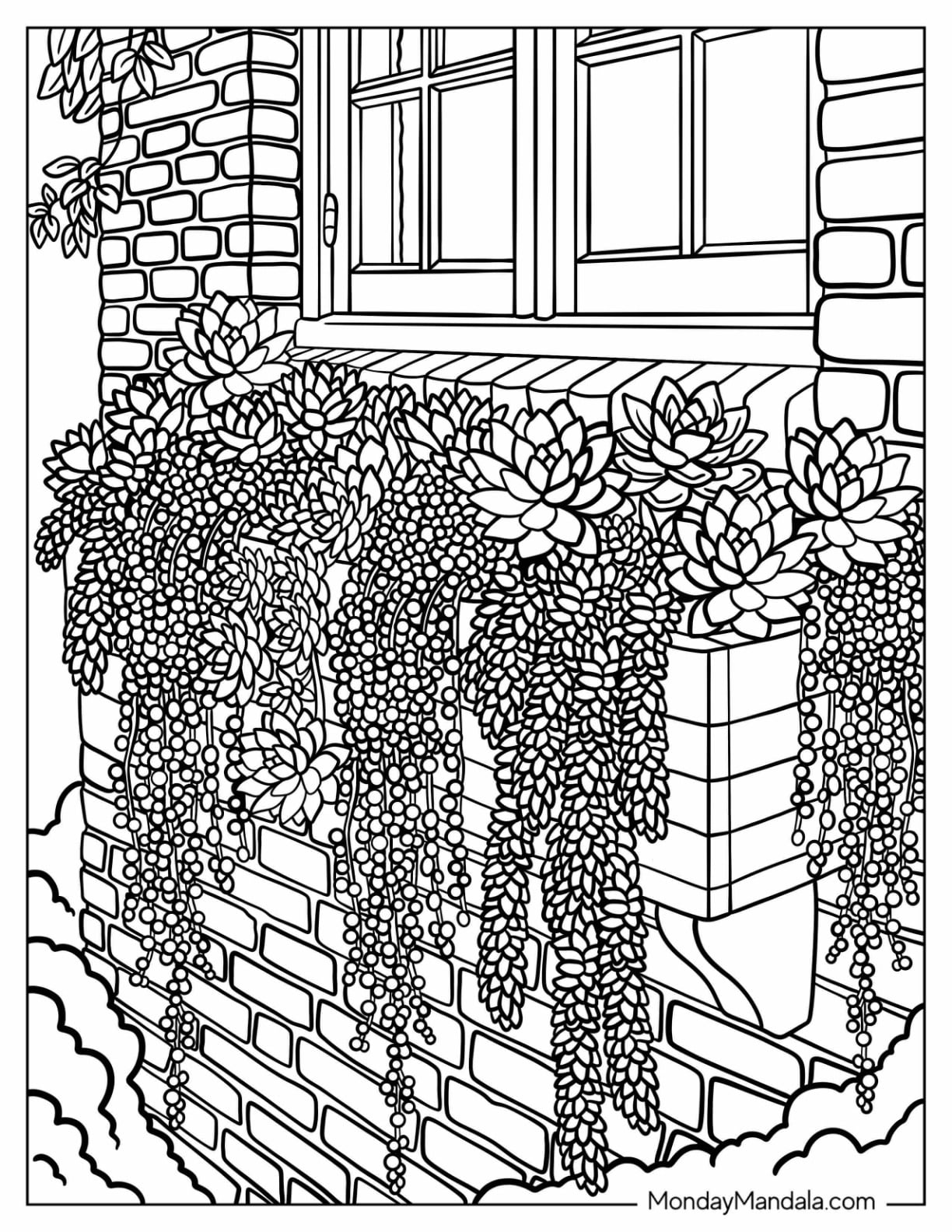 Echeveria and Burro’s Tail Succulents in Window Boxes Coloring Sheet