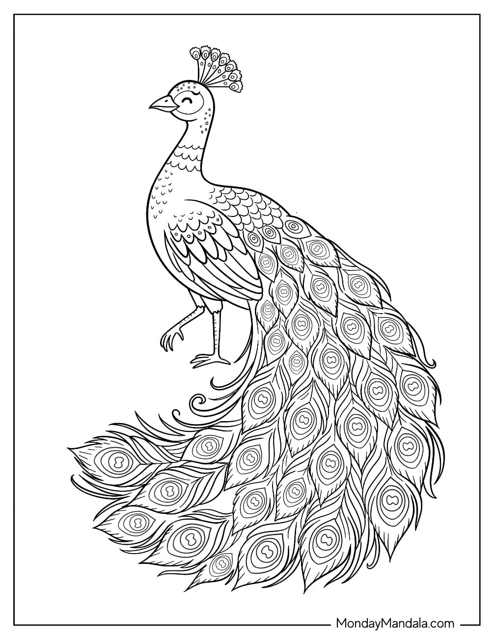 Elegant Peacock with Flowing Tail Feathers