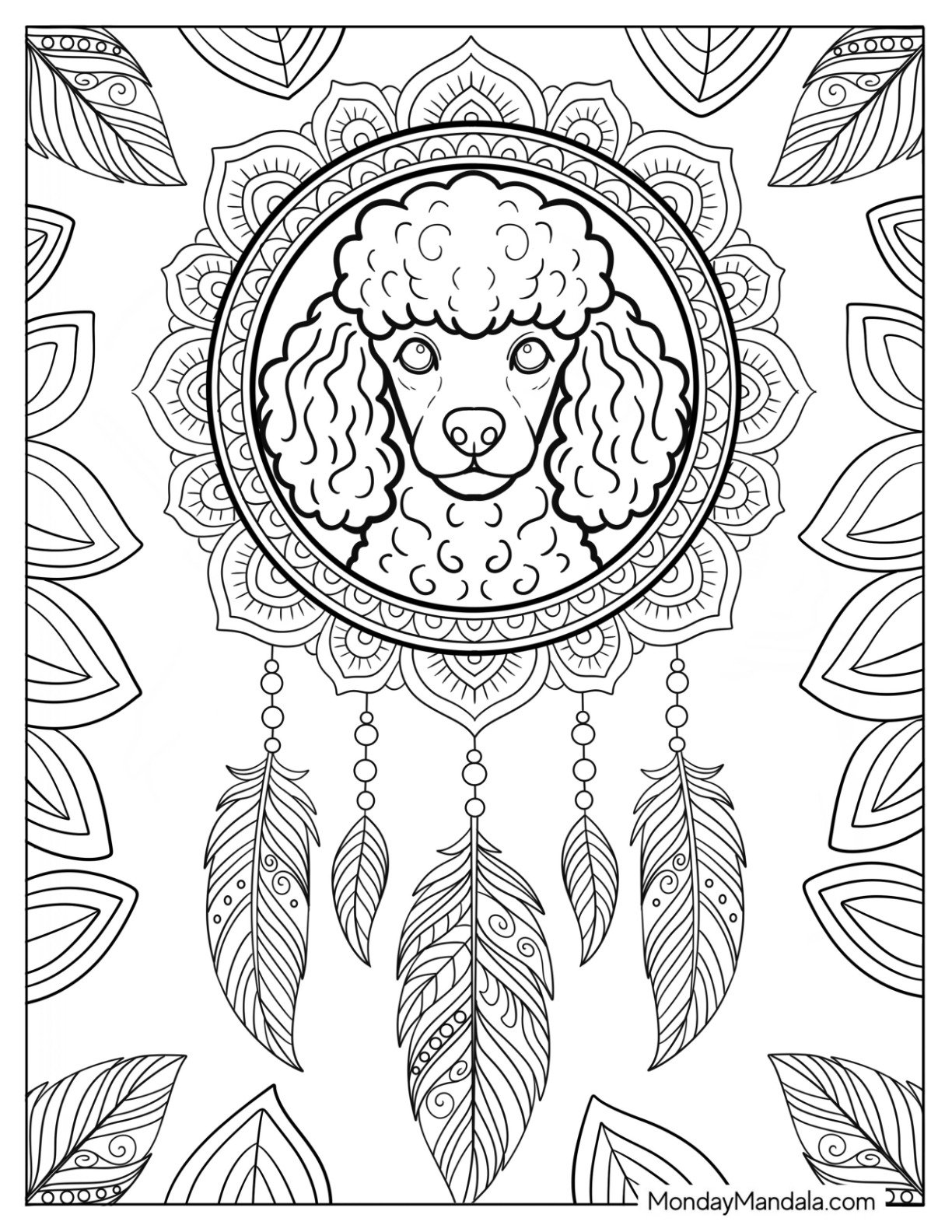 Elegant Poodle Coloring Page in Floral Mandala Dreamcatcher with Feathers 