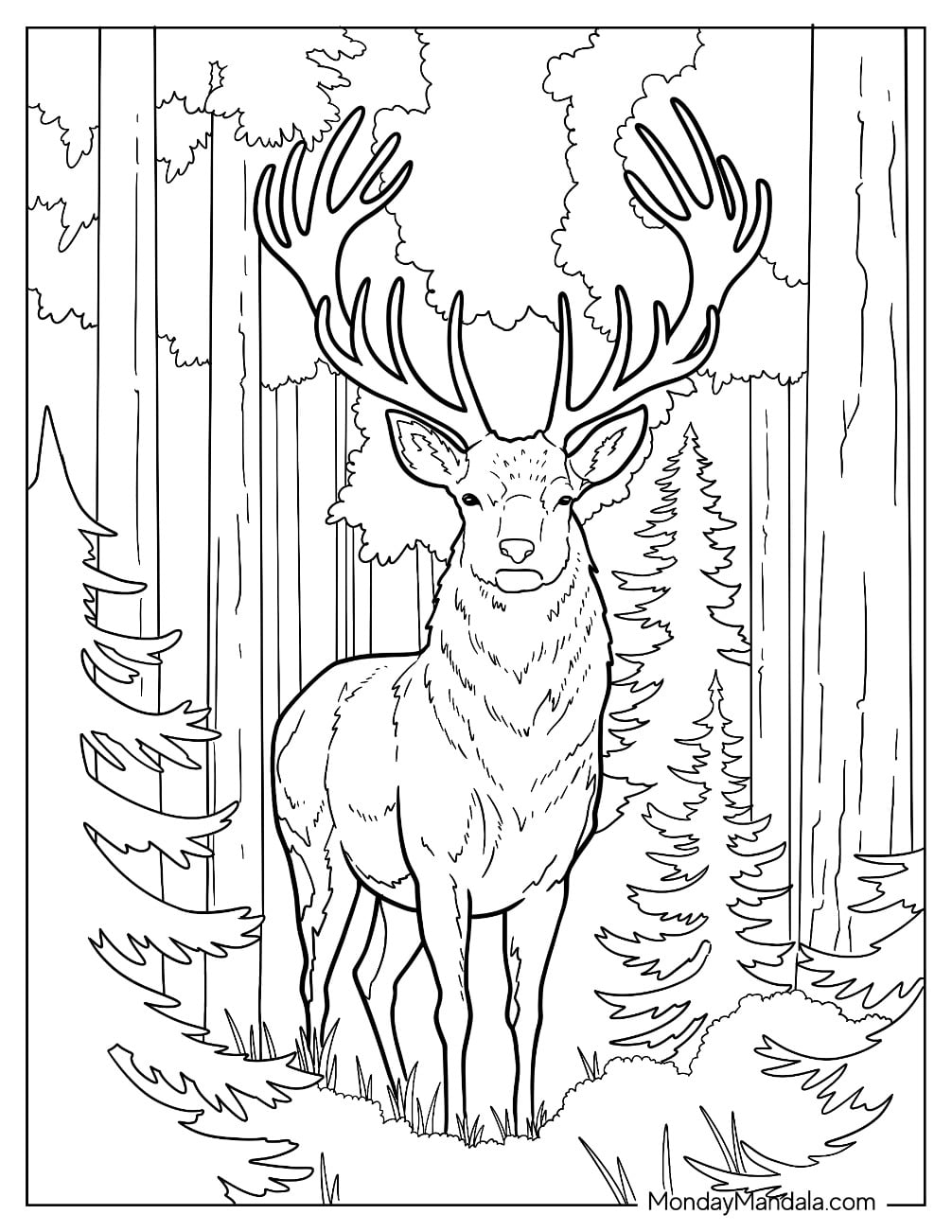 Elegant Realistic Deer Coloring Page in the Forest