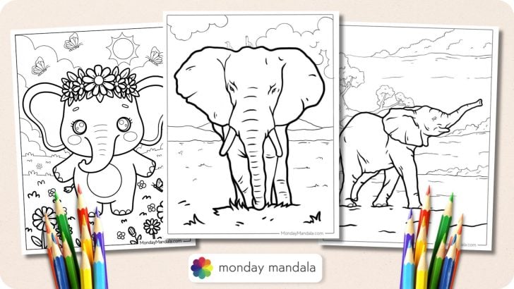 Elephant Coloring Pages Featured Image v2