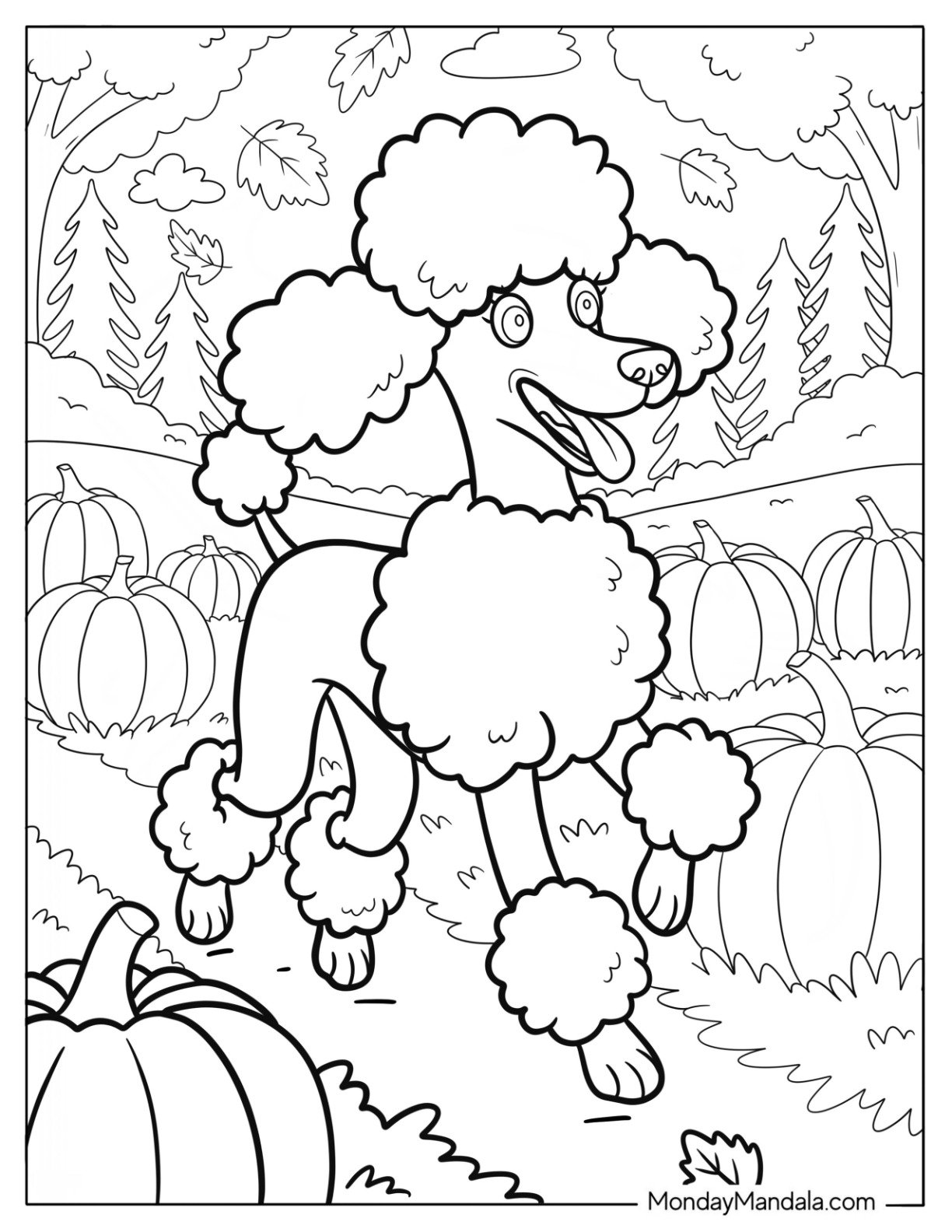 Excited Poodle Coloring Page Walking through a Pumpkin Patch
