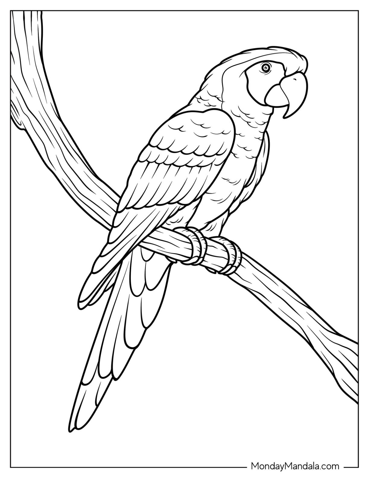 Exotic Macaw Sitting Gracefully on a Wooden Branch Jungle Coloring Page
