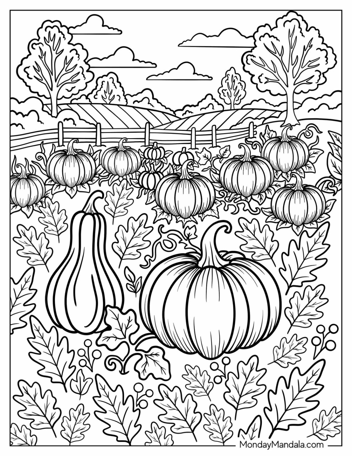 Fall Harvest with Pumpkins and Gourds Coloring Sheet