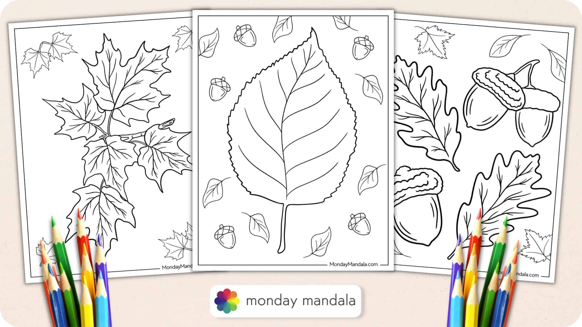 Coloring Pages Autumn Leaves 2025 Coloring Pages Autumn Leaves 2025