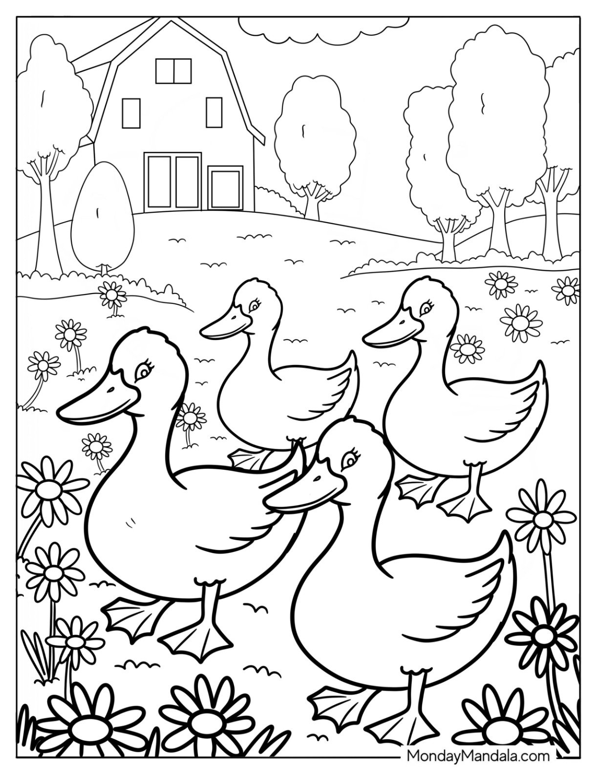 Farm Ducks Walking Through Flower Field