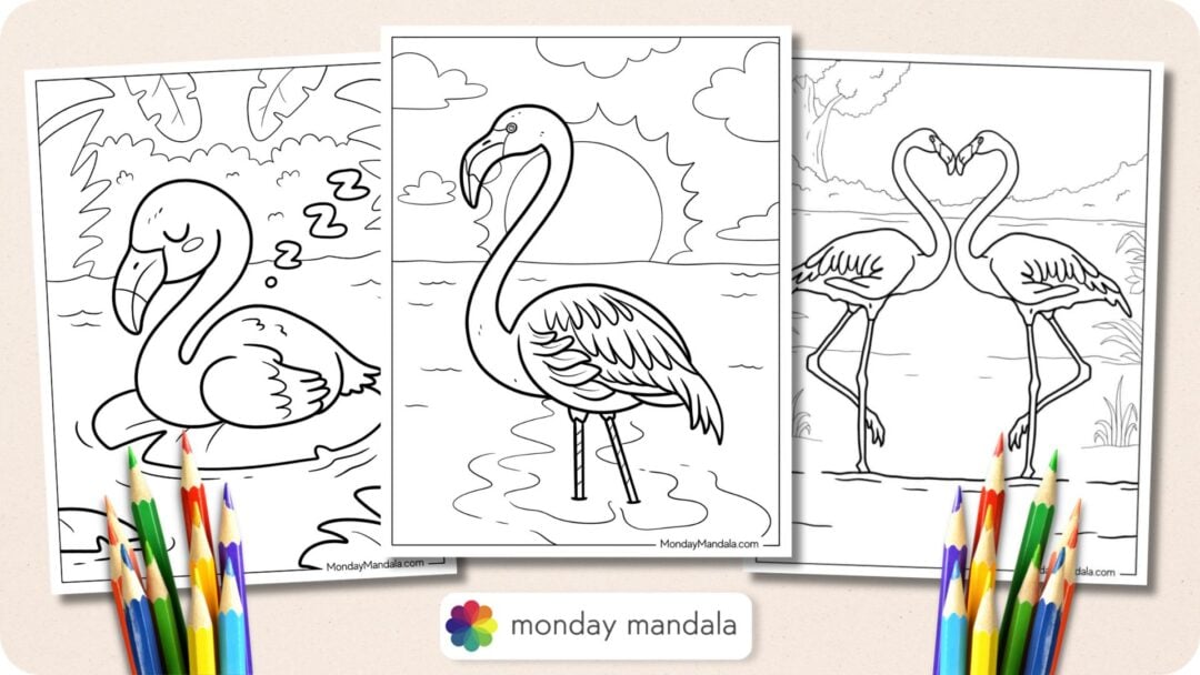 29 Flamingo Coloring Pages (Free PDF Printables)