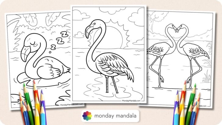 Flamingo Coloring Pages Featured Image v2