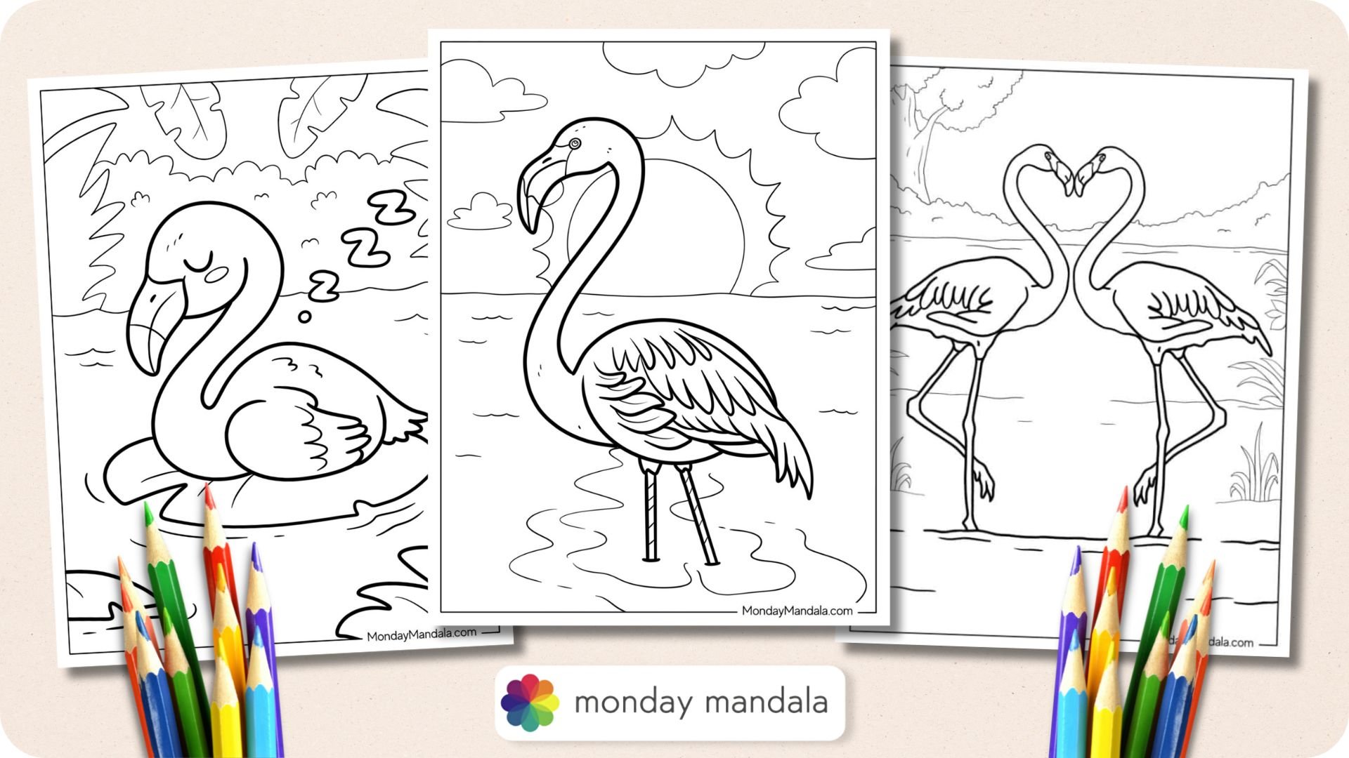 Flamingo Coloring Pages Featured Image v2
