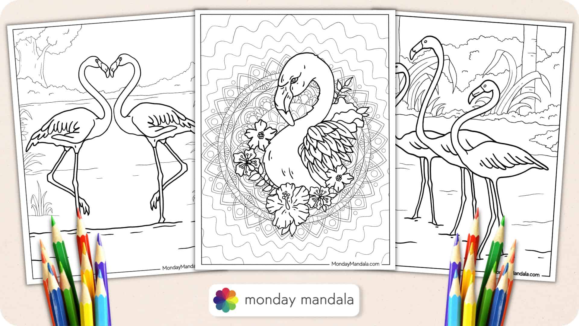 24 Flamingo Coloring Pages (Free PDF Printables)