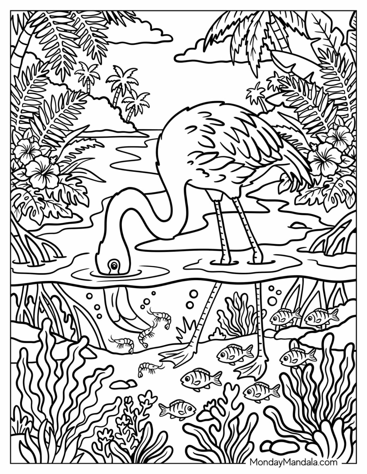 Flamingo Feeding in a Tropical Lagoon Filled with Fish