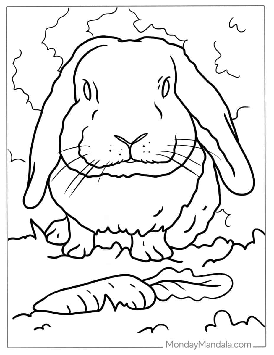 44 Rabbit Coloring Pages (Free PDF Printables)