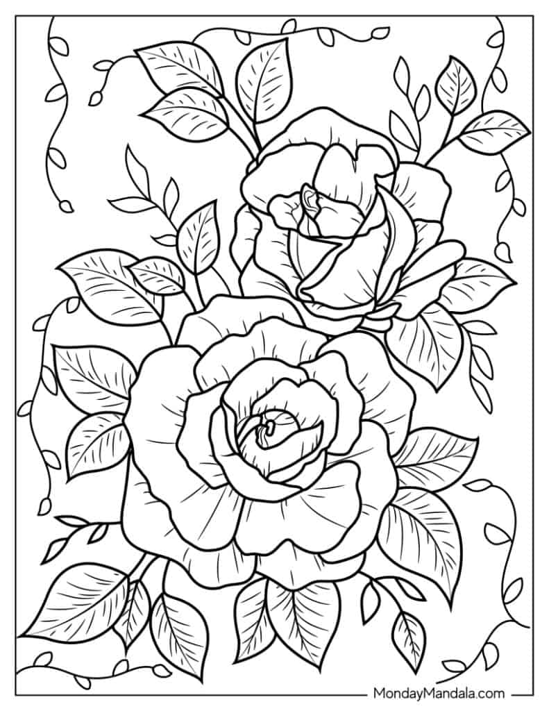 free printable coloring pages of roses