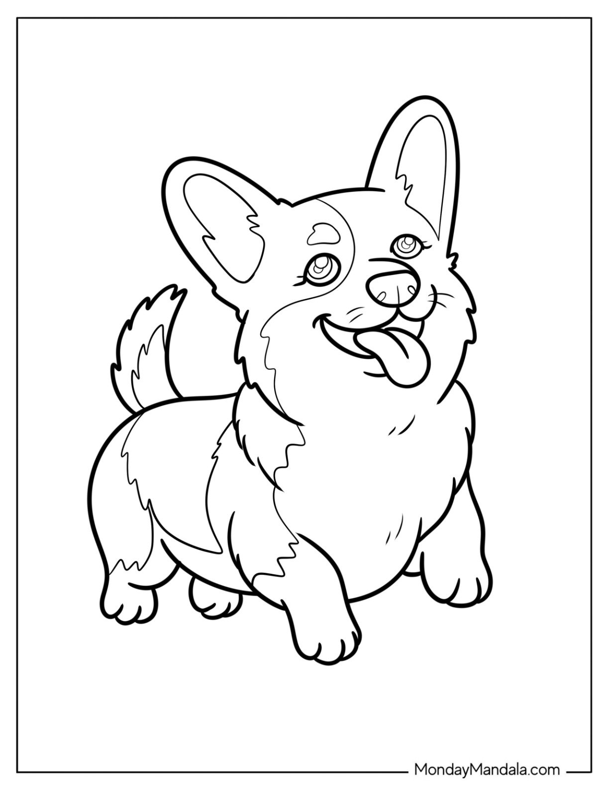 Fluffy Corgi Coloring Page Running with Tongue Out