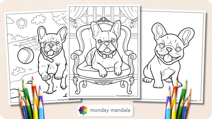 French Bulldog Coloring Pages Featured Image v2
