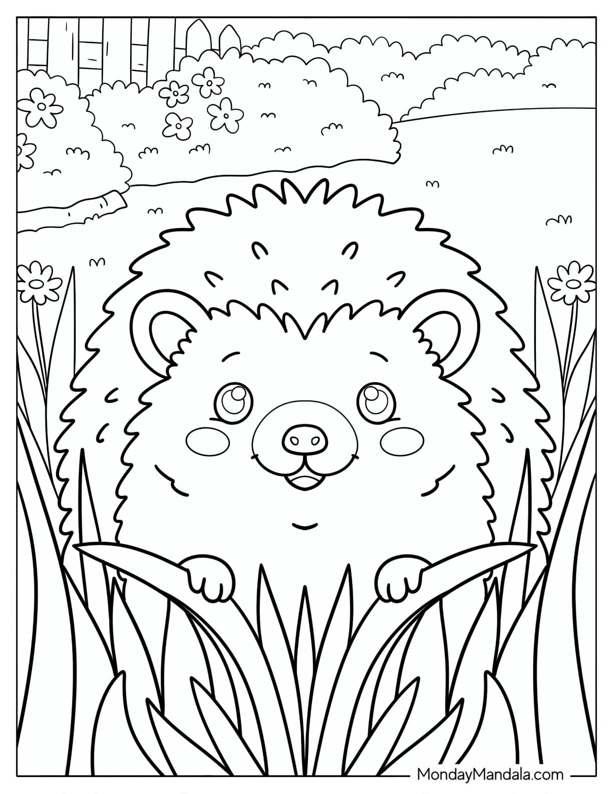 Friendly Hedgehog Peering Above Grass