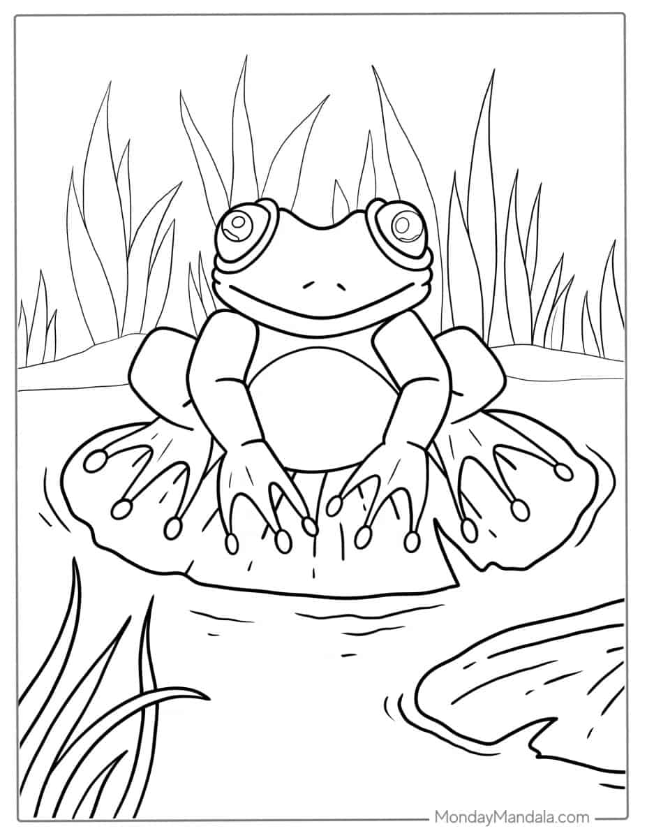 Frog Pictures To Color Sitting