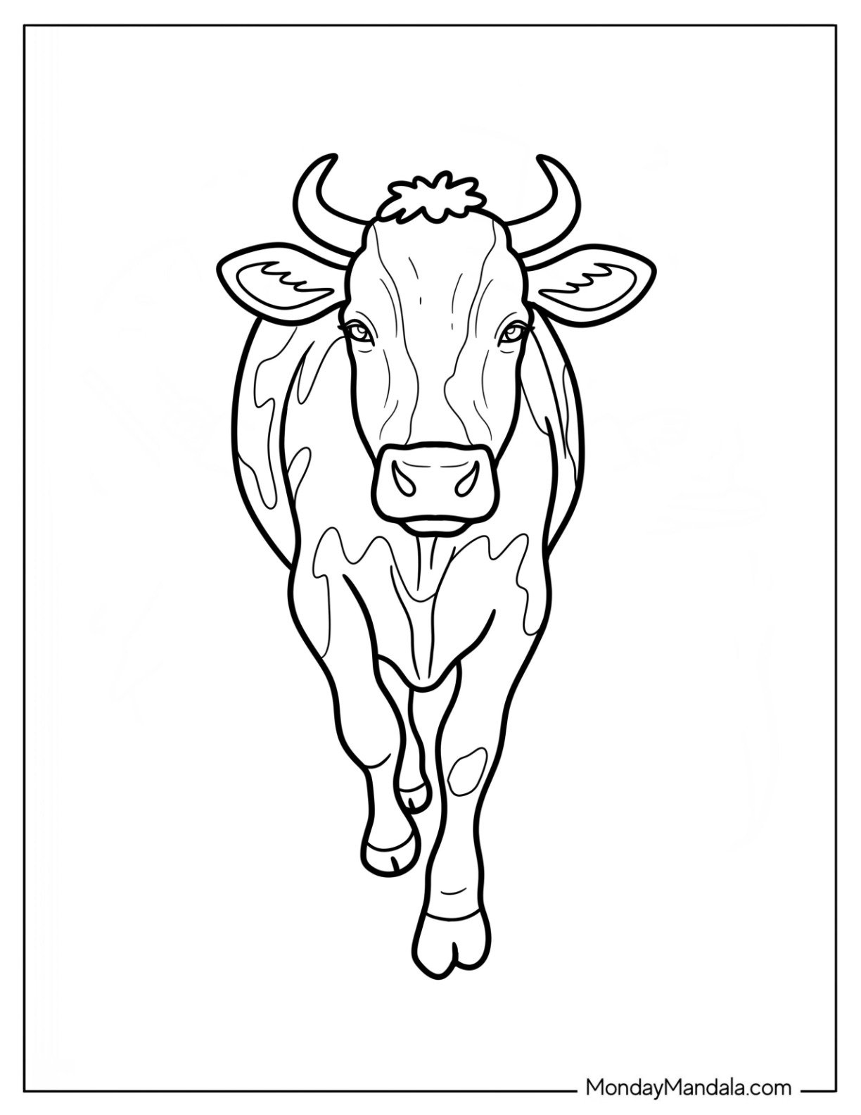 Front View Of A Cow Coloring Page Strolling