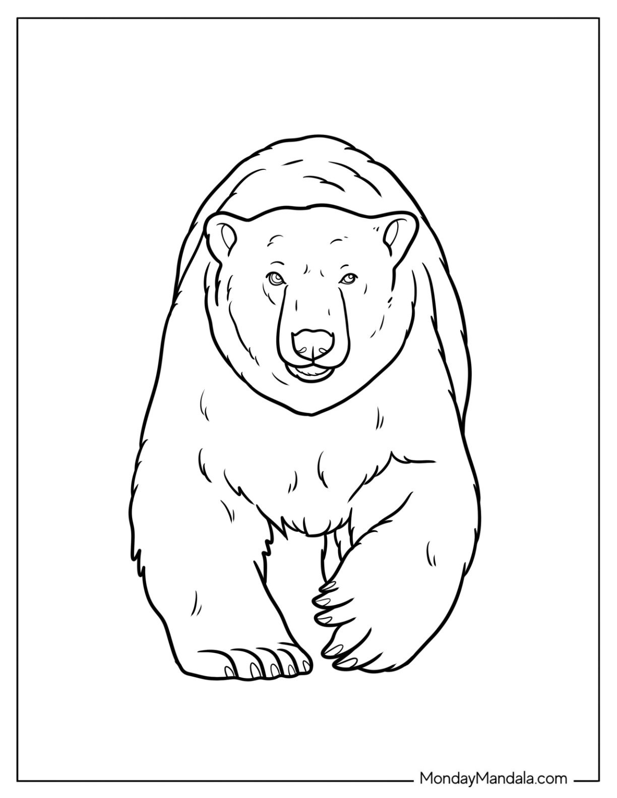 Front View of Realistic Polar Bear Coloring Page for Kids