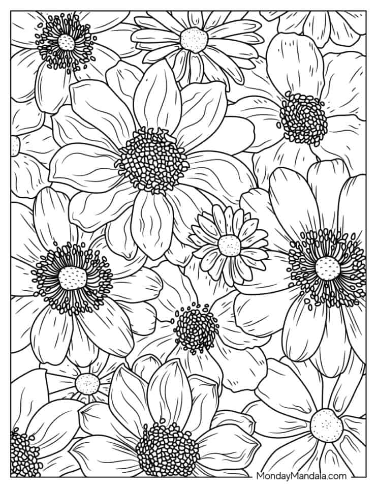37 Daisy Coloring Pages (Free PDF Printables)
