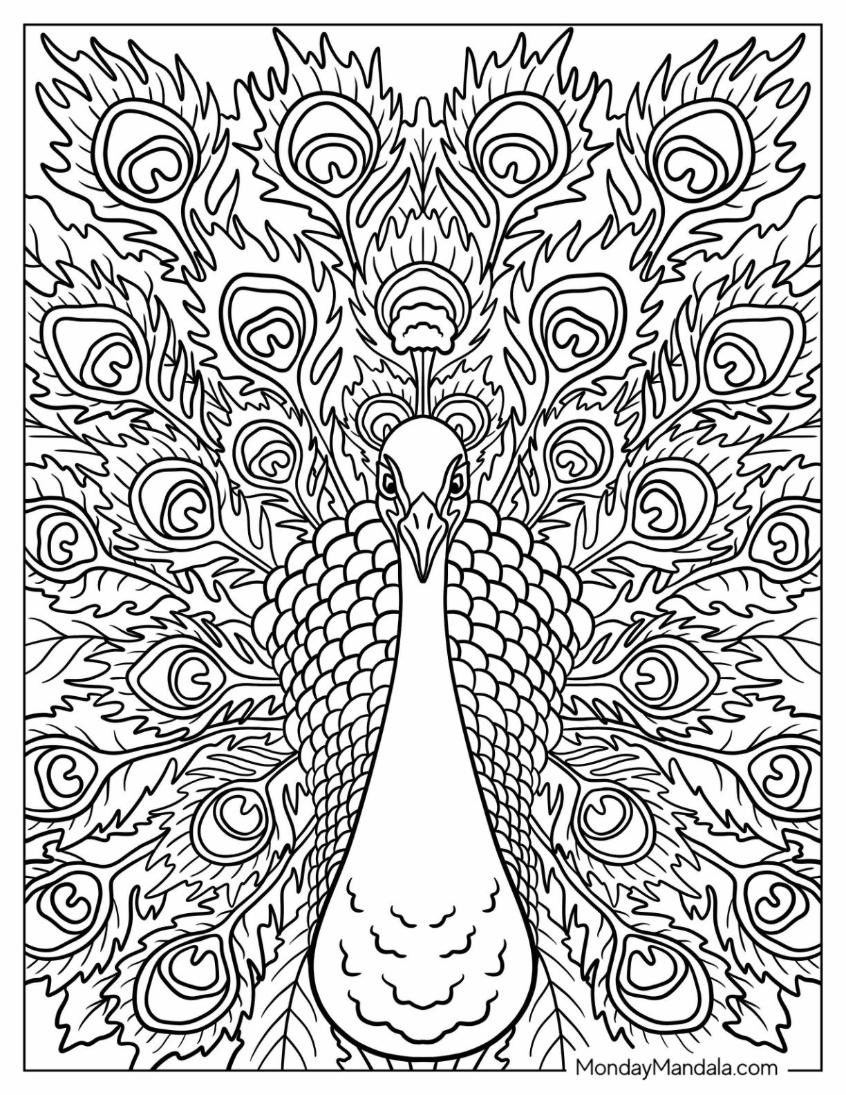 Full Page Peacock Coloring Page Close Up With Large Ornate Tail Feathers