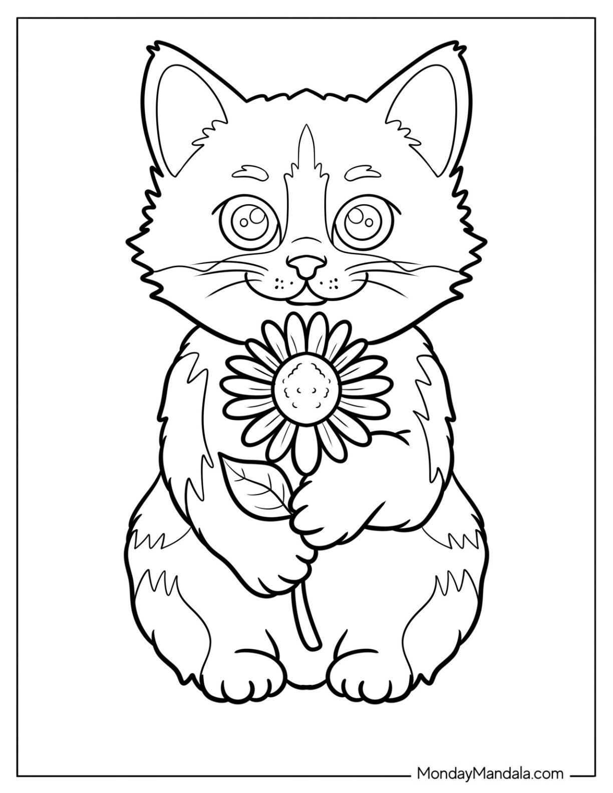 Furry Cat Coloring Page Holding a Flower for Preschoolers