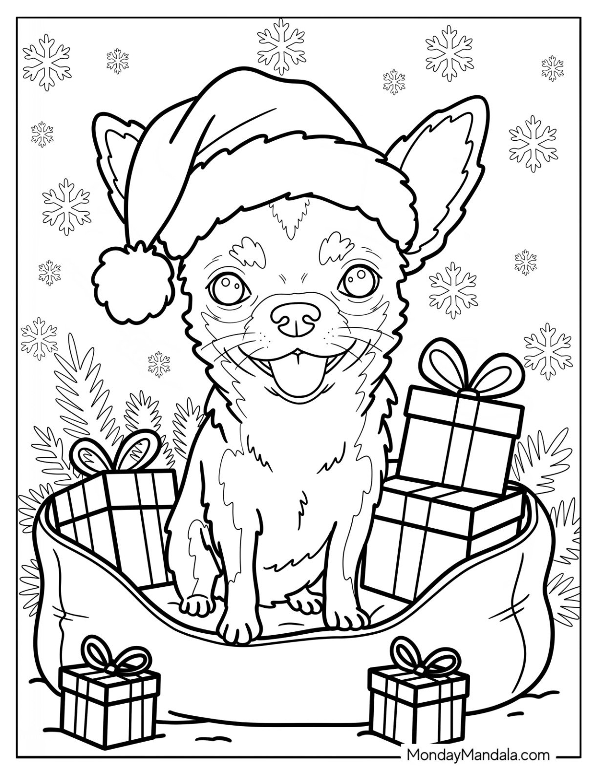Furry Chihuahua Coloring Page  with Santa Hat inside Dog Bed with Christmas Presents