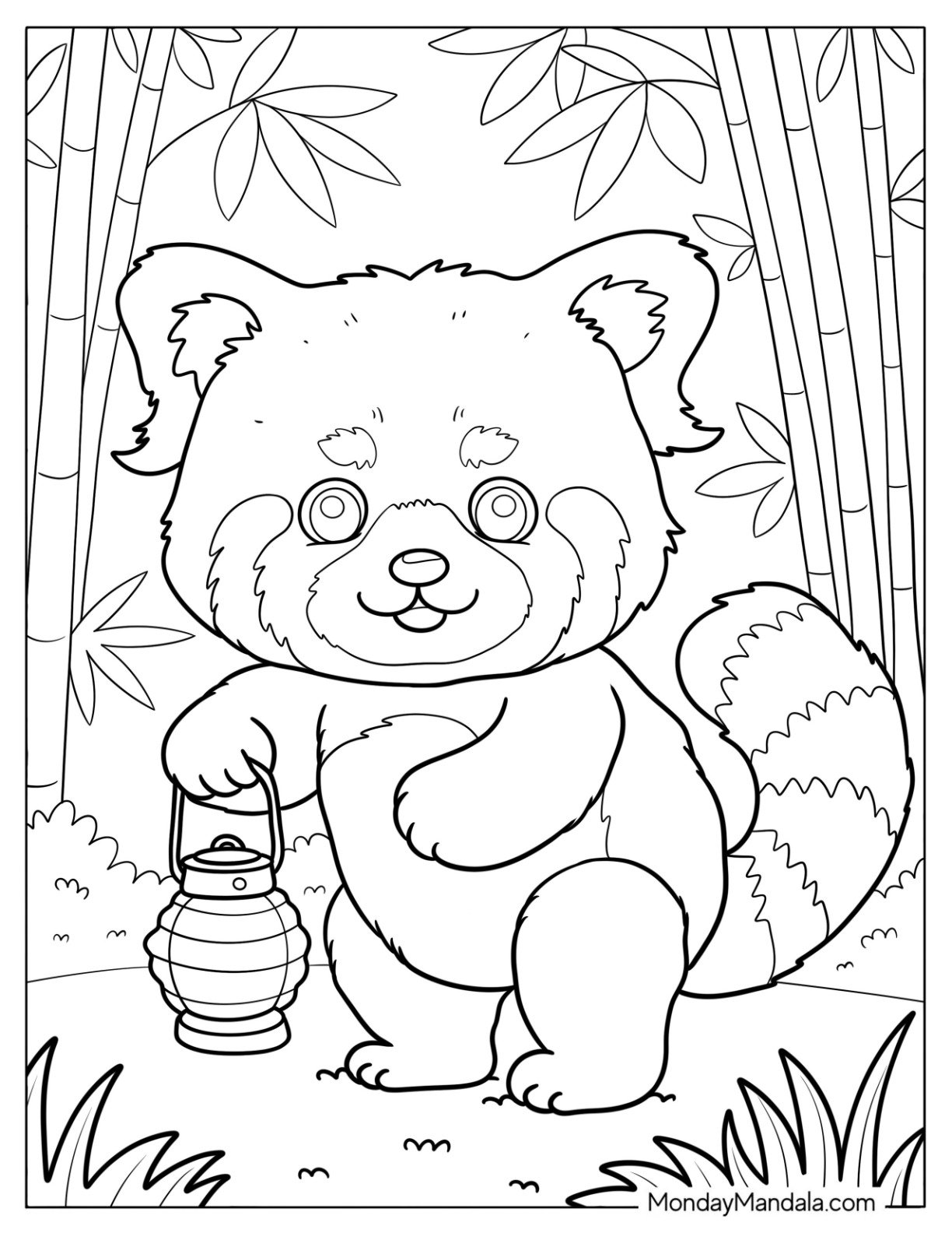 Furry Red Panda Coloring Page Wandering a Bamboo Forest with a Lamp for Kids