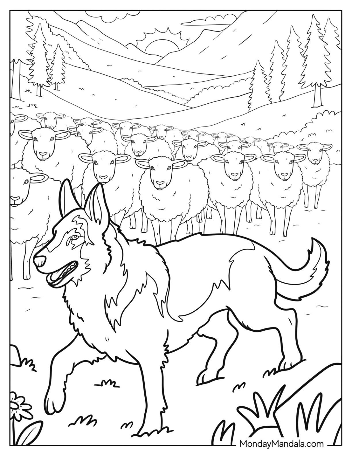 German Shepherd Coloring Page Herding Sheep