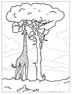 41 Giraffe Coloring Pages (Free PDF Printables)