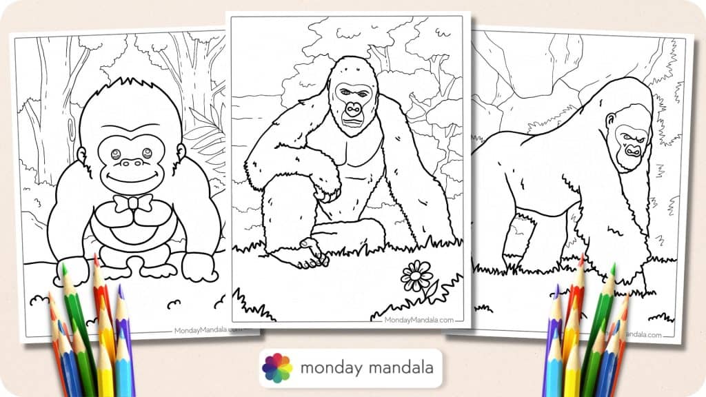 32 Gorilla Coloring Pages (Free PDF Printables)