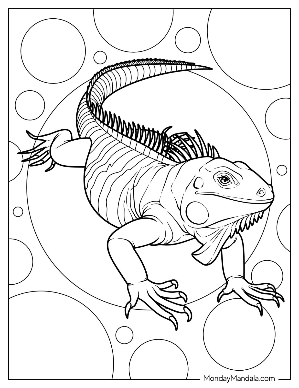 Green Iguana Coloring Page