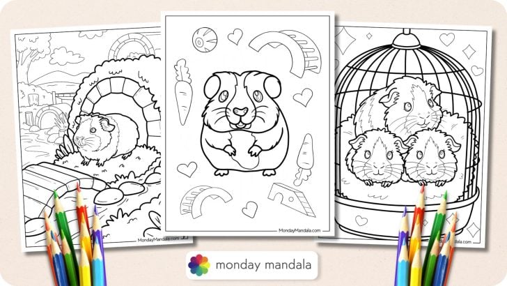 Guinea Pig Coloring Pages Featured Image v2