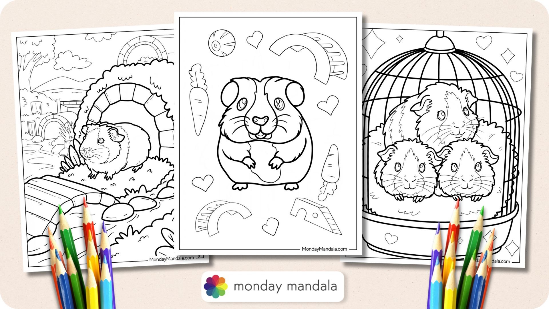 Guinea Pig Coloring Pages Featured Image v2