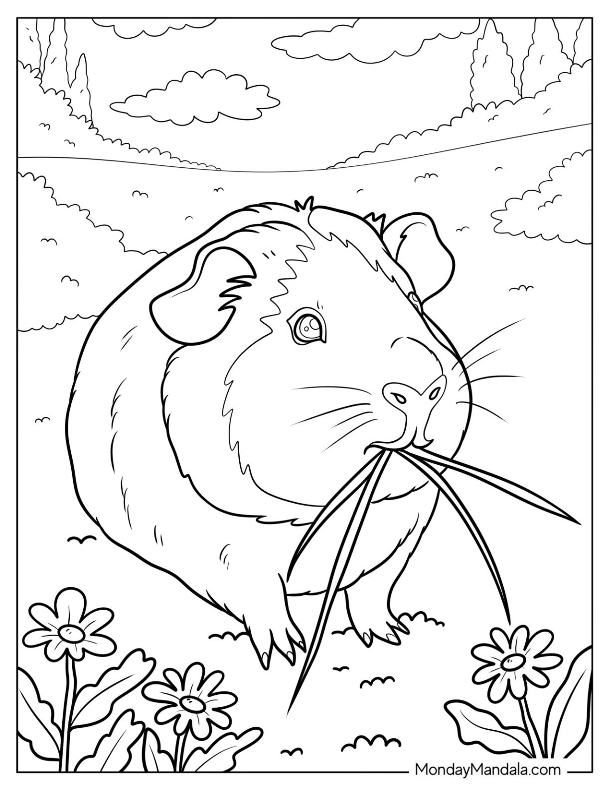 Guinea Pig Coloring Page Munching on Grass in a Field for Kids