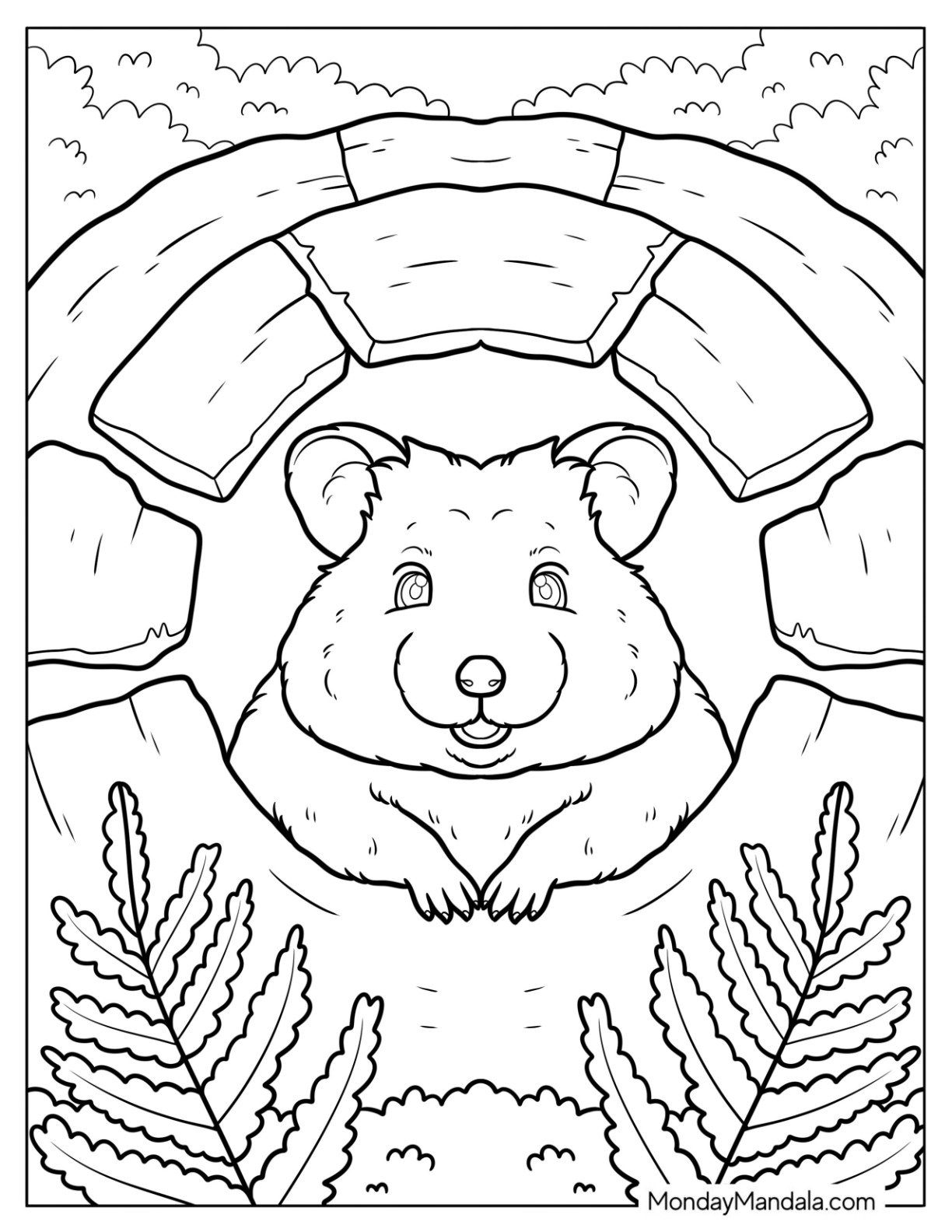 Hamster Coloring Page Peeking Out from a Cozy Stone Burrow Surrounded by Ferns