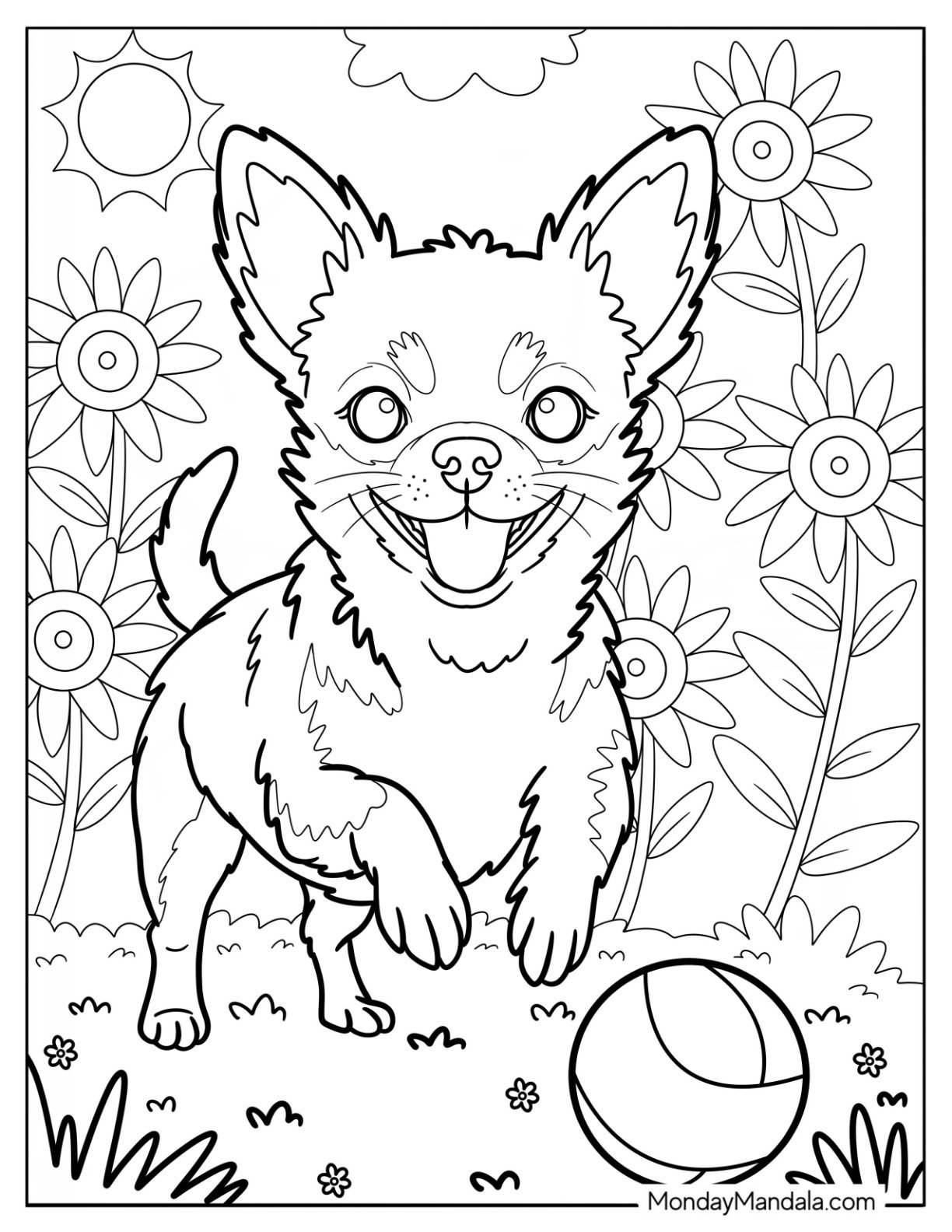 Happy Chihuahua Coloring Page Running After a Ball in a Flower Field