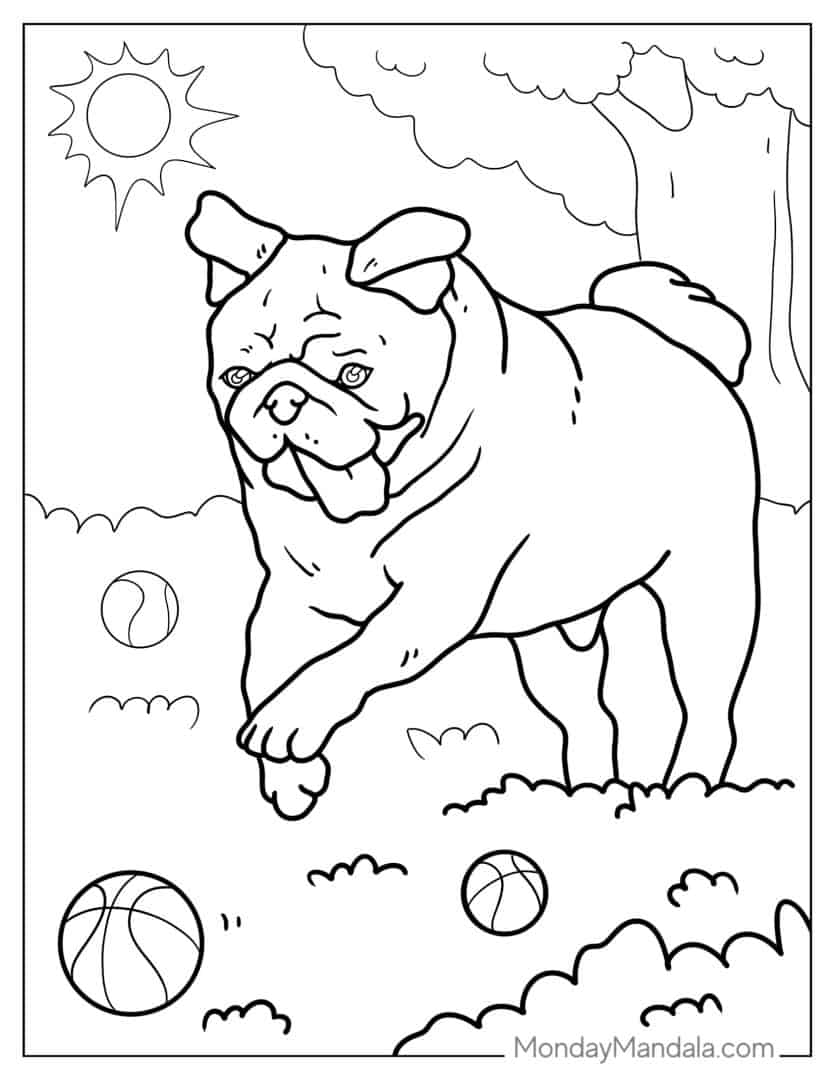 43 Pug Coloring Pages (Free PDF Printables)