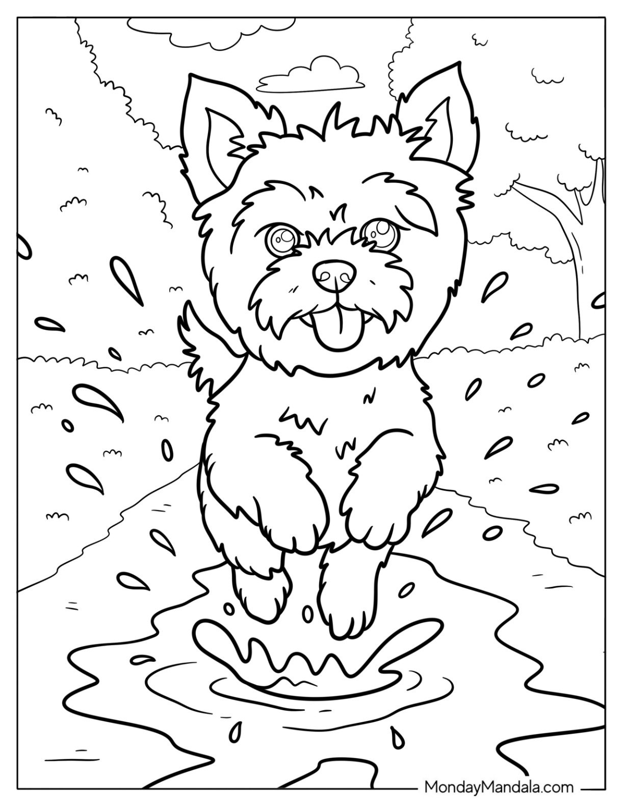 Happy Yorkie Coloring Page of Dog Leaping Through Puddle For Kids