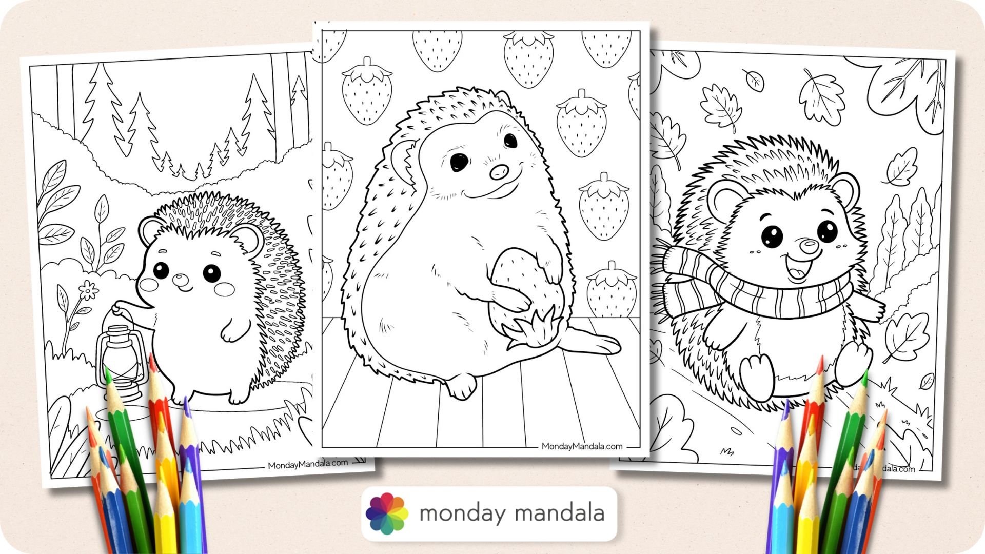 Hedgehog Coloring Pages Featured Image v2