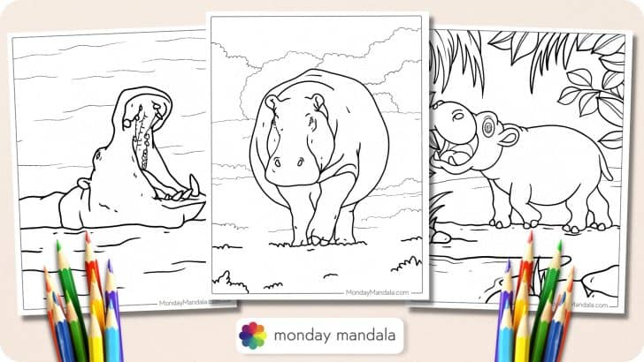 Hippo Coloring Pages Featured Image