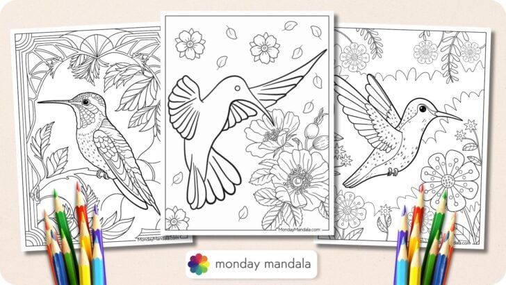 Hummingbird Coloring Pages Featured Image v2